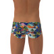 Maillot De Bain Homme Funky Trunks Men's Classic Trunks Palm Prism
